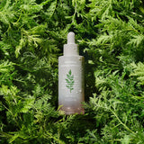 Time Revolution Artemisia Ampoule
