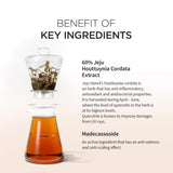 Houttuynia Cordata Calming Moisture Cream - Korean-Skincare