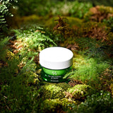 Tea Tree Purifine 80 Cream