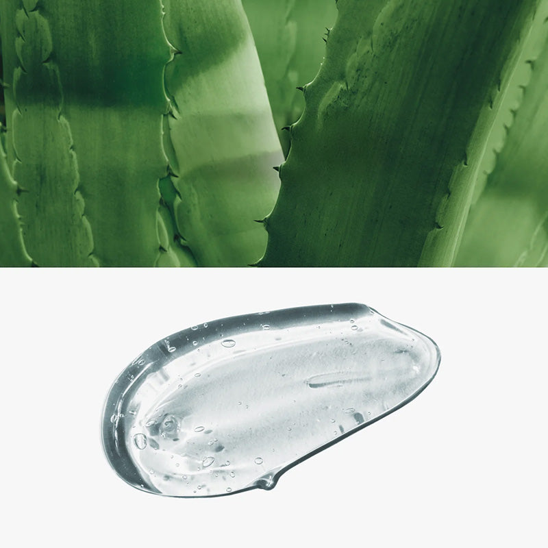 Pure Source Pocket Pack